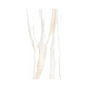 Calacatta Gold 24X48 Matte