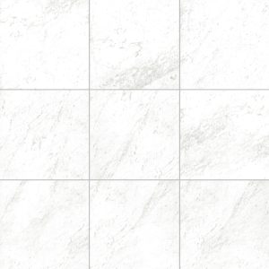 Carrara 12X12 Matte