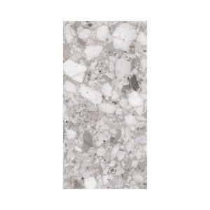 Grey 12X24 Matte