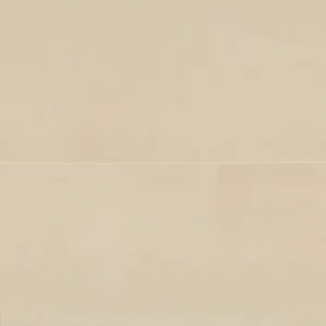 Sahara 24" x 48" Matte Porcelain Tile in Ecru