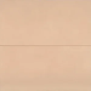 Sahara 24" x 48" Matte Porcelain Tile in Rose