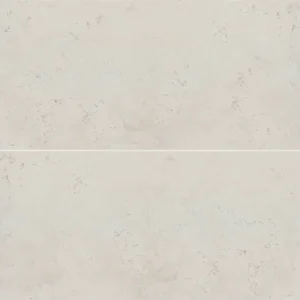 Thaddeus 24" x 48" Matte Porcelain Tile in White