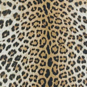 Dolce Amur Leopard  New Gold