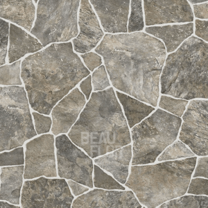 EARTHBOUND FOSSIL
