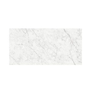 Carrara 24X48 Satin