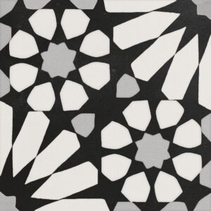 Etna Big Aster Blk & Wht 8X8 Matte
