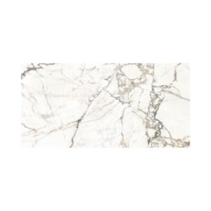 Oro 24X48 Polished