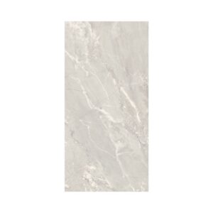 Silver 12X24 Matte