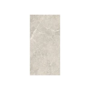 Silver 12X24 Matte