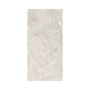 Silver 12X24 Polished