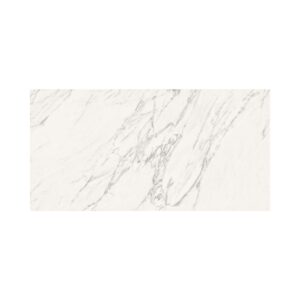 Venatino 24X48 Polished