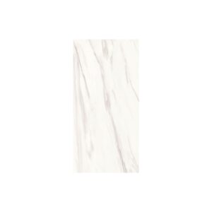 Venato 12X24 Matte