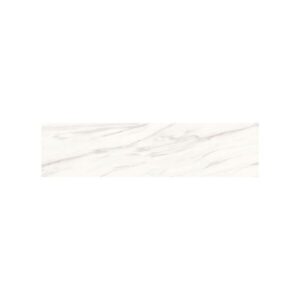 Venato 12X48 Matte