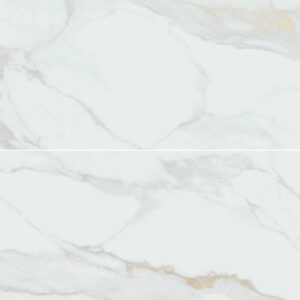 Calacatta Gold 24X48 Polished