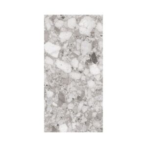 Grey 12X24 Matte