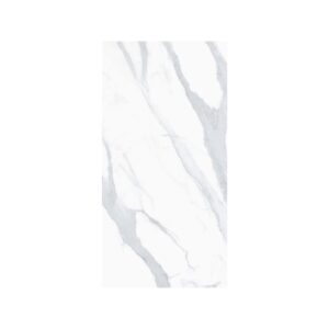 Venato 12X24 Matte