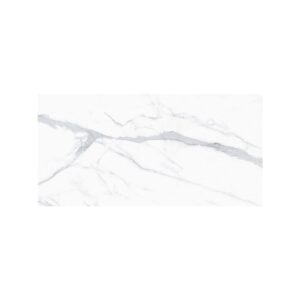 Venato 24X48 Polished