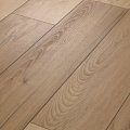 IMPERIAL BEECH