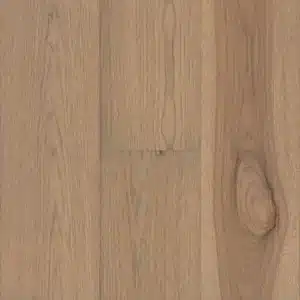 Parchment