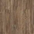 TATTERED BARNBO