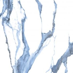 Calacatta Blue Matte 24 x 48