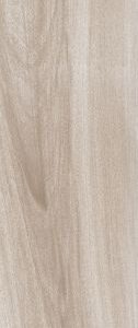 Norway Maple 12 x 71