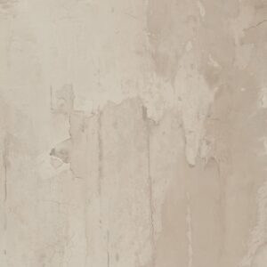 Raw Warm Rectified 12 x 24