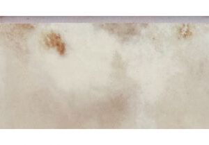 Reves Noisette Glossy Bullnose 3 x 12