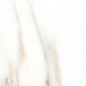 AGL Calacatta Gold Matte 12 x 24