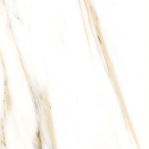 AGL Calacatta Gold Matte 24 x 48