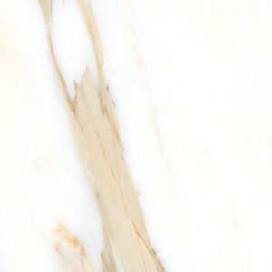 AGL Calacatta Gold Polished 12 x 24