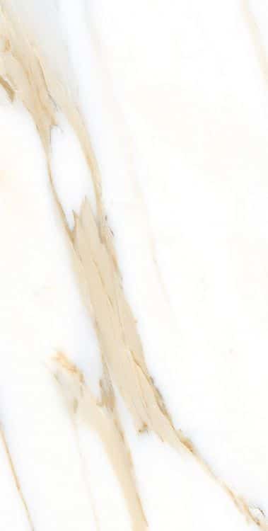 AGL Calacatta Gold Polished 12 x 24