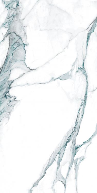 Calacatta Fantasy Green Polished 24 x 48