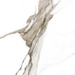 Calacatta Fantasy Topo Polished 24 x 48