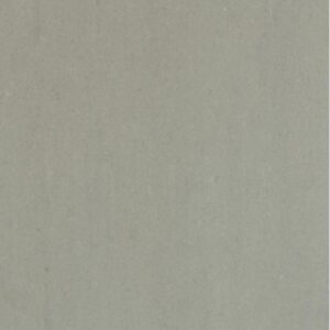 Grey Light Matte 12 x 24