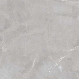 Luxury Amani Grey Matte 24 x 48