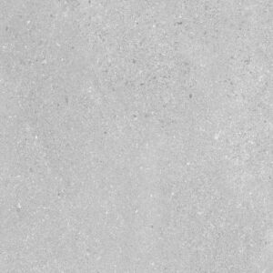 Madison Argent 12 x 24