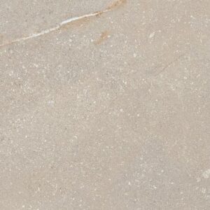 Madison Bone 12 x 24