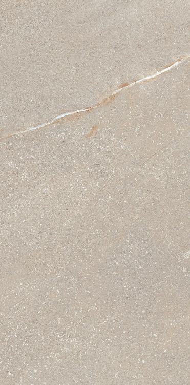 Madison Bone 12 x 24