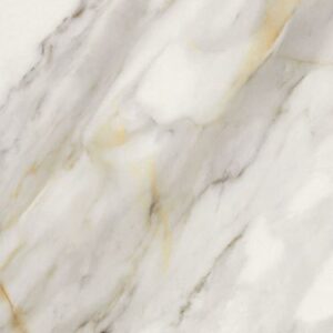 Marmi Macchiavecchia Matte 12 x 24