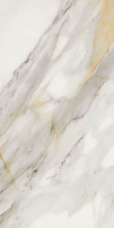 Marmi Macchiavecchia Matte 12 x 24