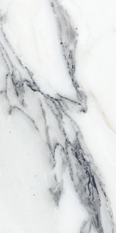 Origines Argent Glossy 12 x 24