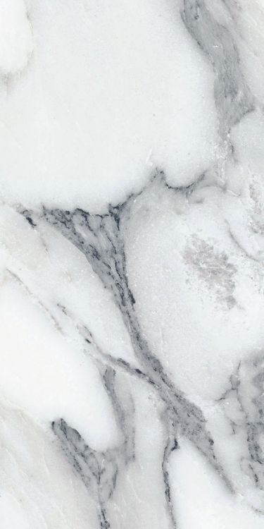 Origines Argent Matte 12 x 24