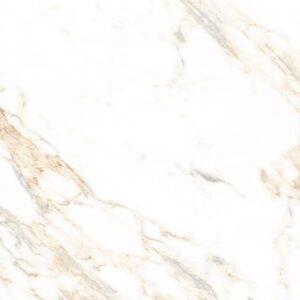 AGL Lusso Staturio Matte 24 x 48