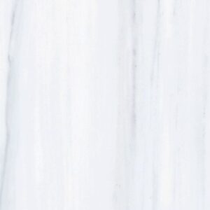 AN Dolomite Supreme Matte 12 x 24