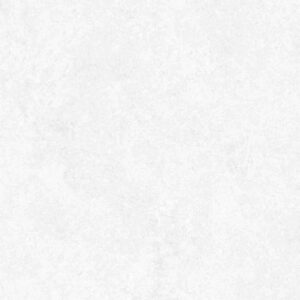 Babilon Arctic Polished 12 x 24