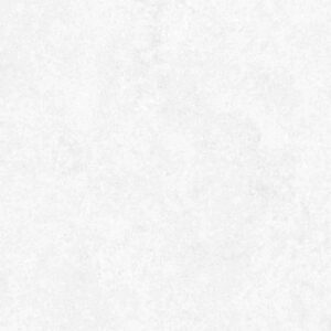 Babilon Arctic Polished 24 x 48