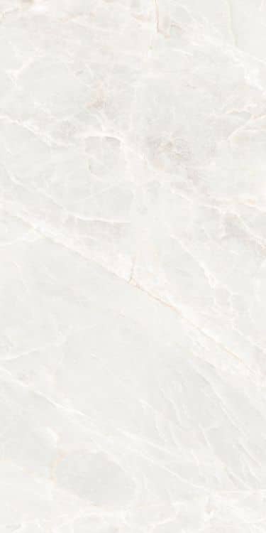 Brasilia White Polished 24 x 48