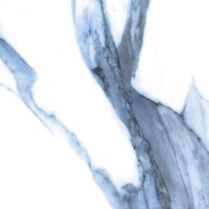 Calacatta Blue Matte 12 x 24
