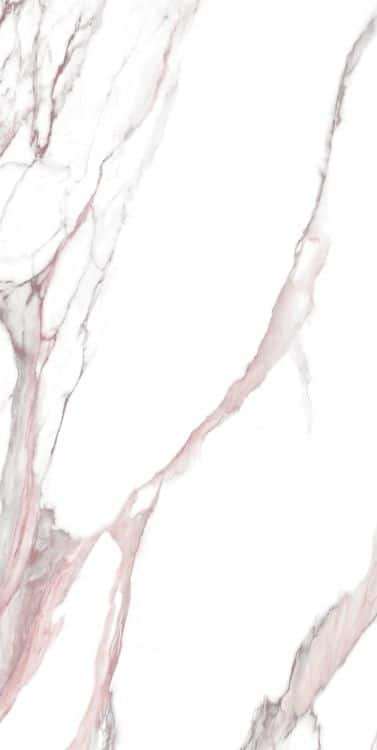 Calacatta Fantasy Pink Polished 24 x 48